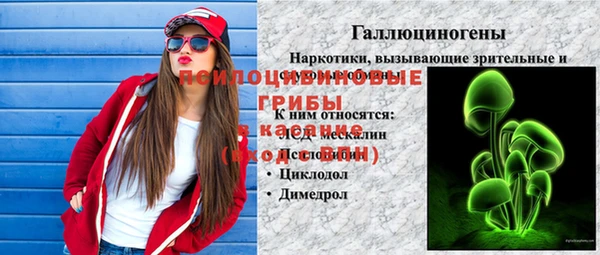 ПСИЛОЦИБИНОВЫЕ ГРИБЫ Нефтекумск